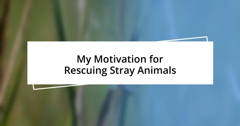 My Motivation for Rescuing Stray Animals