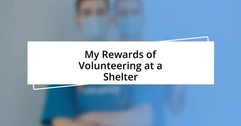 My Rewards of Volunteering at a Shelter