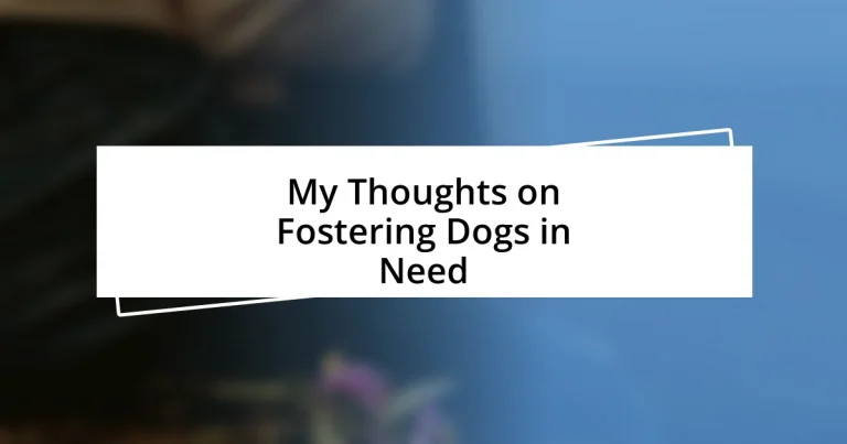 My Thoughts on Fostering Dogs in Need