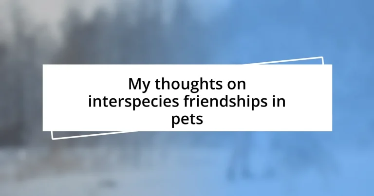 My thoughts on interspecies friendships in pets