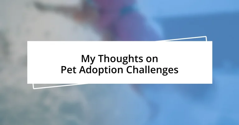 My Thoughts on Pet Adoption Challenges