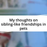 My thoughts on sibling-like friendships in pets