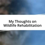 My Thoughts on Wildlife Rehabilitation