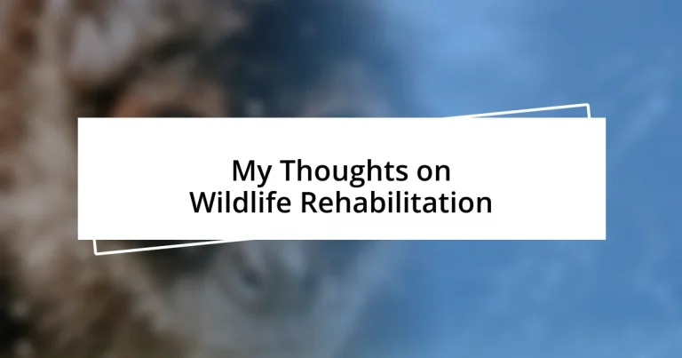 My Thoughts on Wildlife Rehabilitation