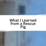 What I Learned from a Rescue Pig