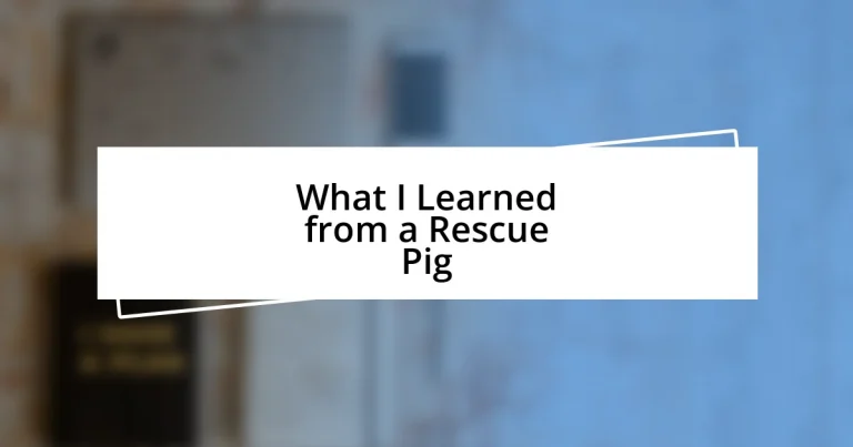 What I Learned from a Rescue Pig