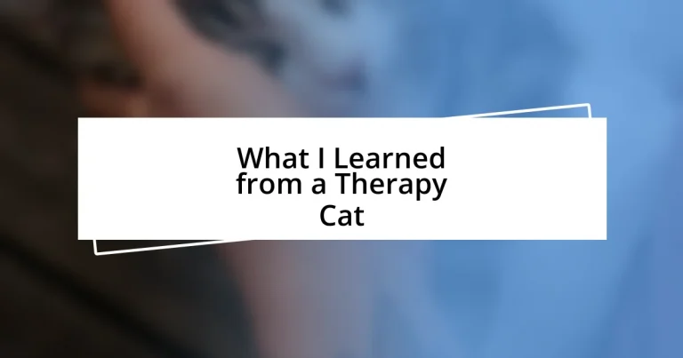 What I Learned from a Therapy Cat