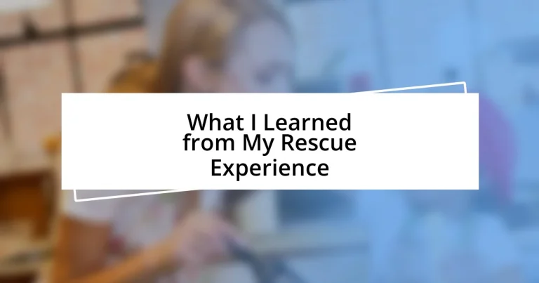 What I Learned from My Rescue Experience