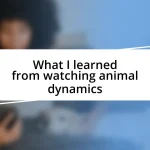 What I learned from watching animal dynamics