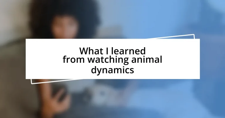 What I learned from watching animal dynamics