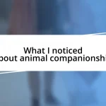 What I noticed about animal companionship