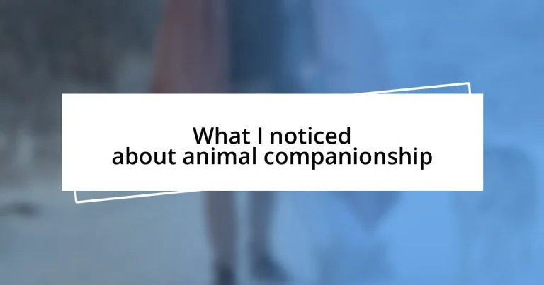 What I noticed about animal companionship