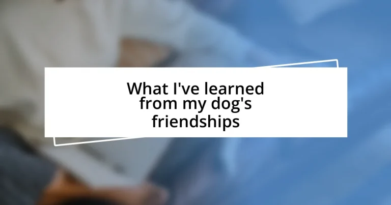 What I’ve learned from my dog’s friendships