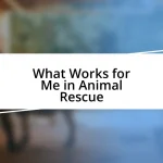 What Works for Me in Animal Rescue