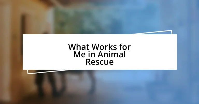 What Works for Me in Animal Rescue