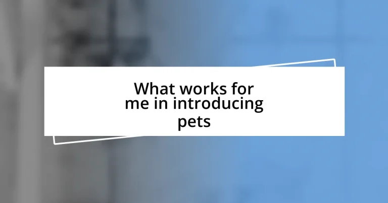 What works for me in introducing pets