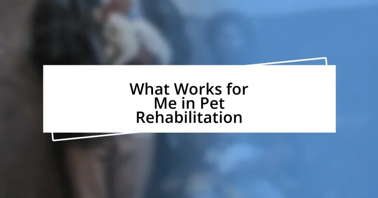 What Works for Me in Pet Rehabilitation