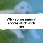 Why some animal scores stick with me