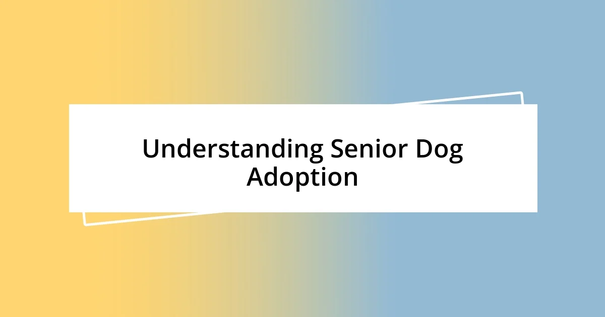 Understanding Senior Dog Adoption