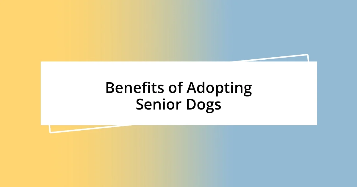 Benefits of Adopting Senior Dogs