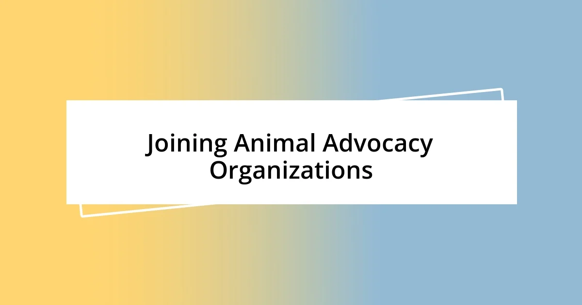 Joining Animal Advocacy Organizations