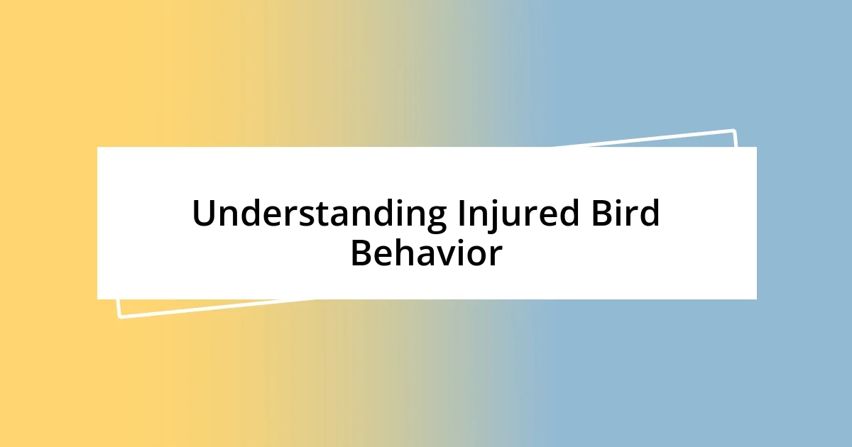 Understanding Injured Bird Behavior