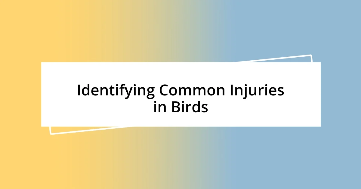 Identifying Common Injuries in Birds