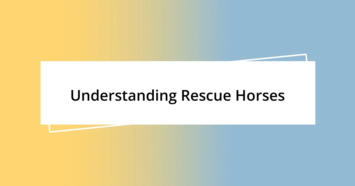 Understanding Rescue Horses