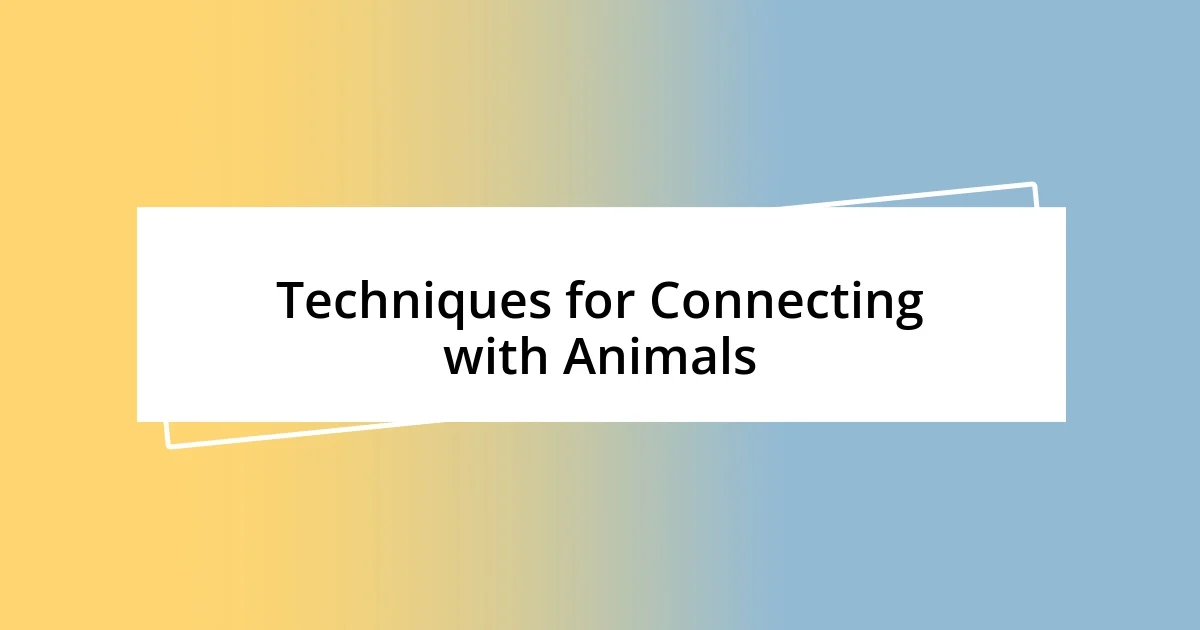 Techniques for Connecting with Animals