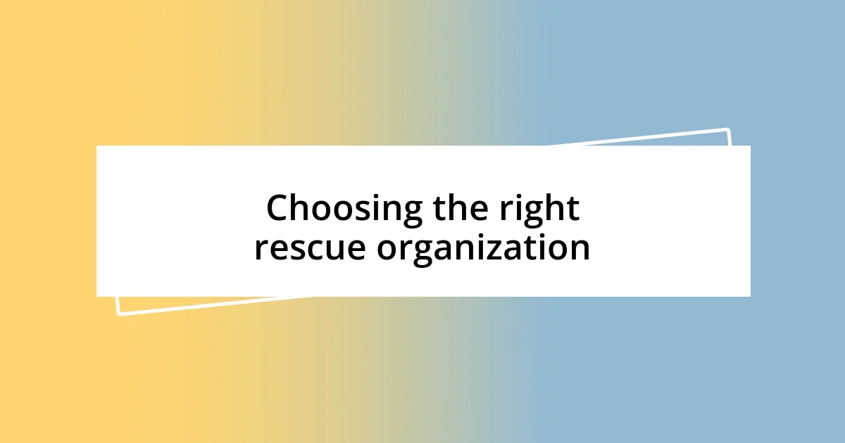 Choosing the right rescue organization