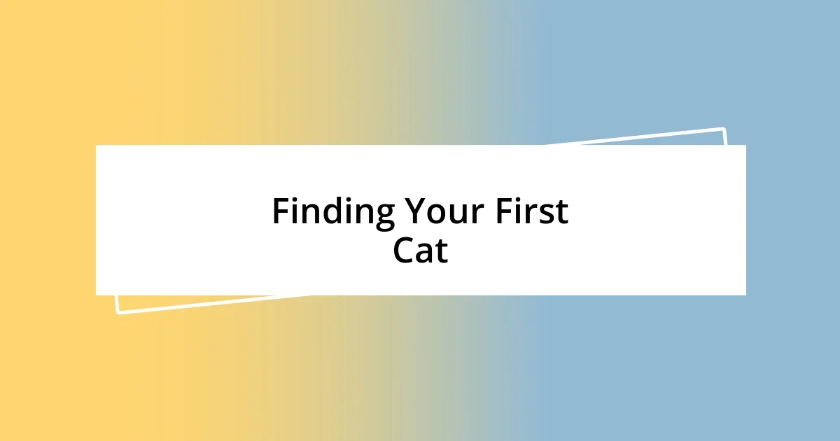 Finding Your First Cat