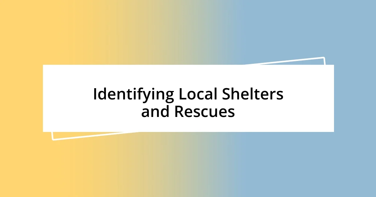 Identifying Local Shelters and Rescues