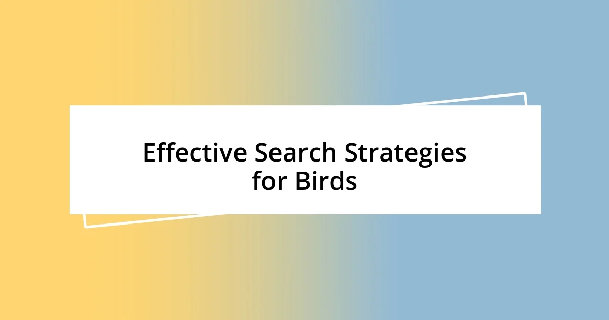 Effective Search Strategies for Birds