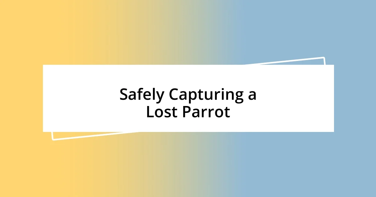 Safely Capturing a Lost Parrot