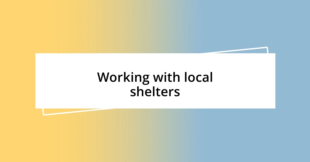 Working with local shelters