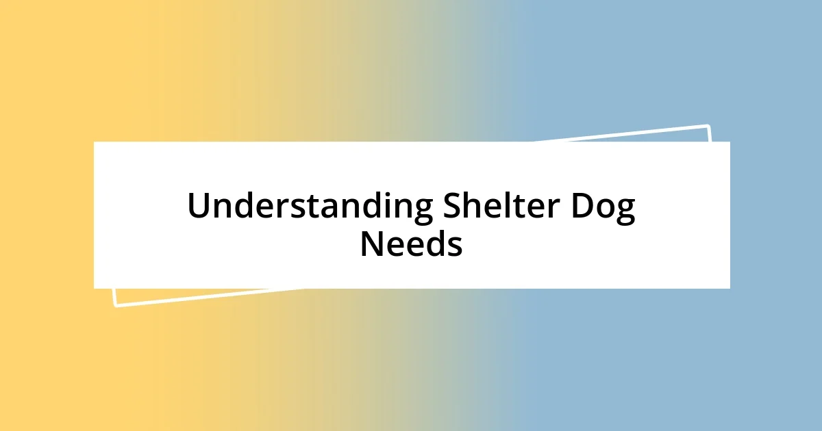 Understanding Shelter Dog Needs