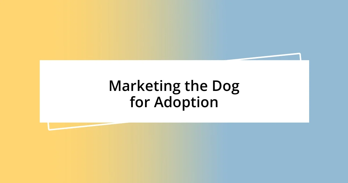 Marketing the Dog for Adoption