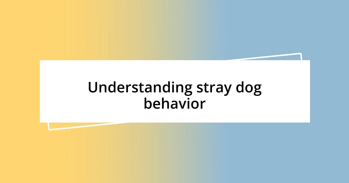 Understanding stray dog behavior