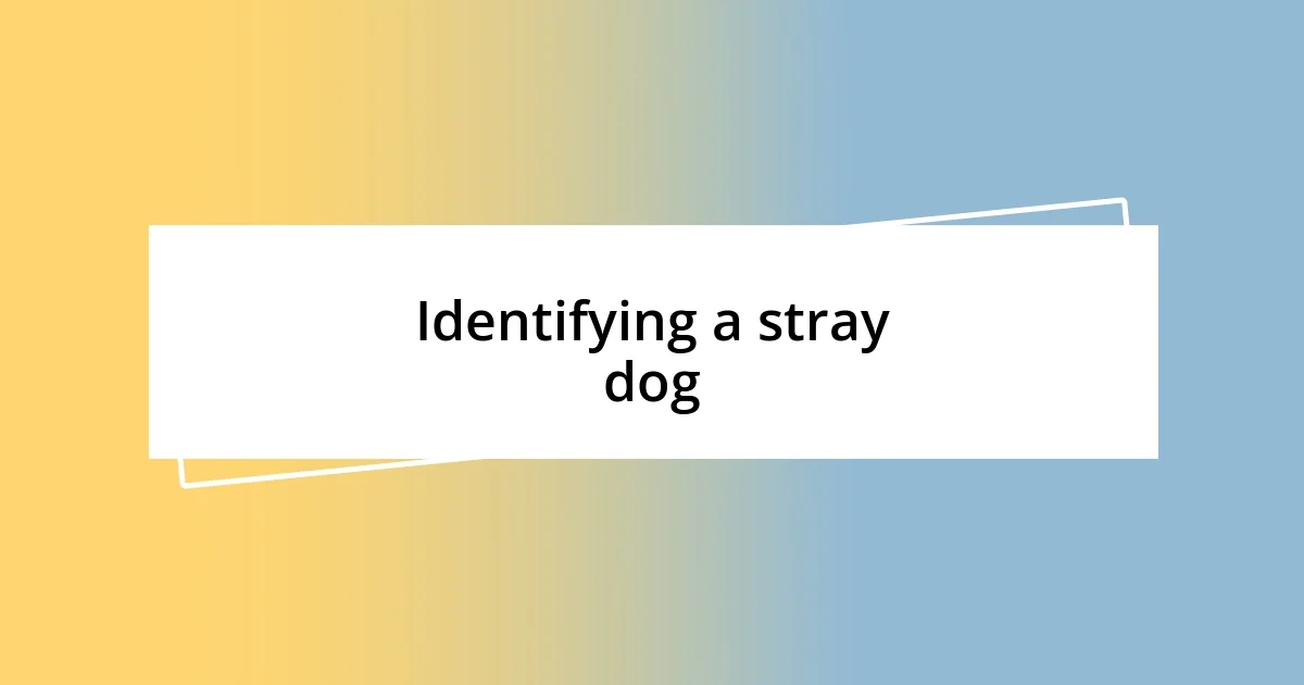 Identifying a stray dog