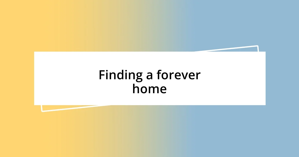 Finding a forever home