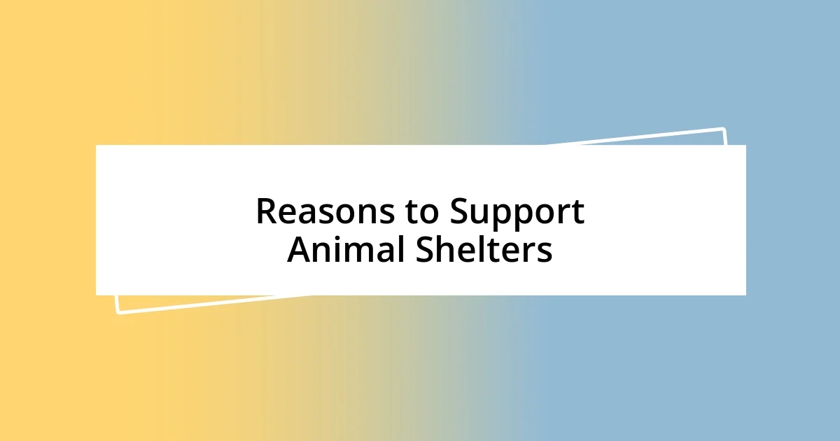 Reasons to Support Animal Shelters