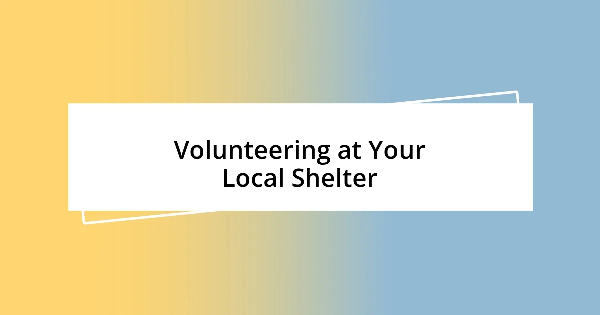 Volunteering at Your Local Shelter