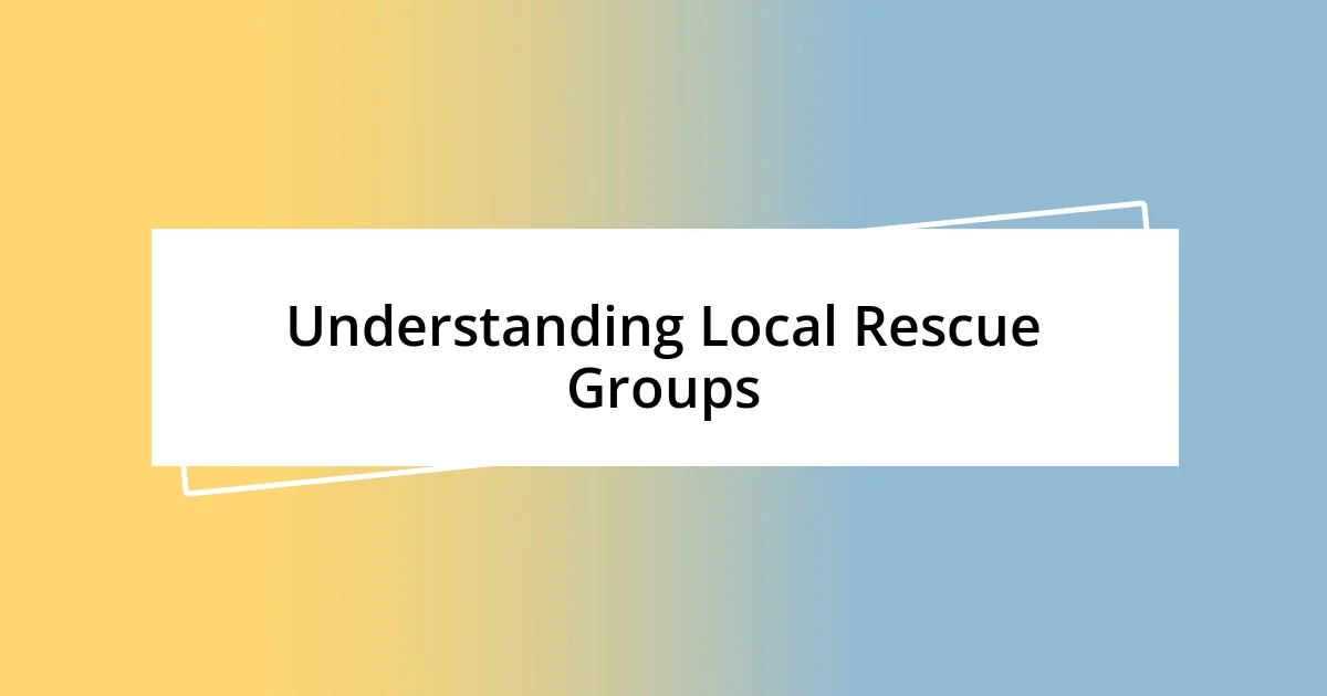 Understanding Local Rescue Groups