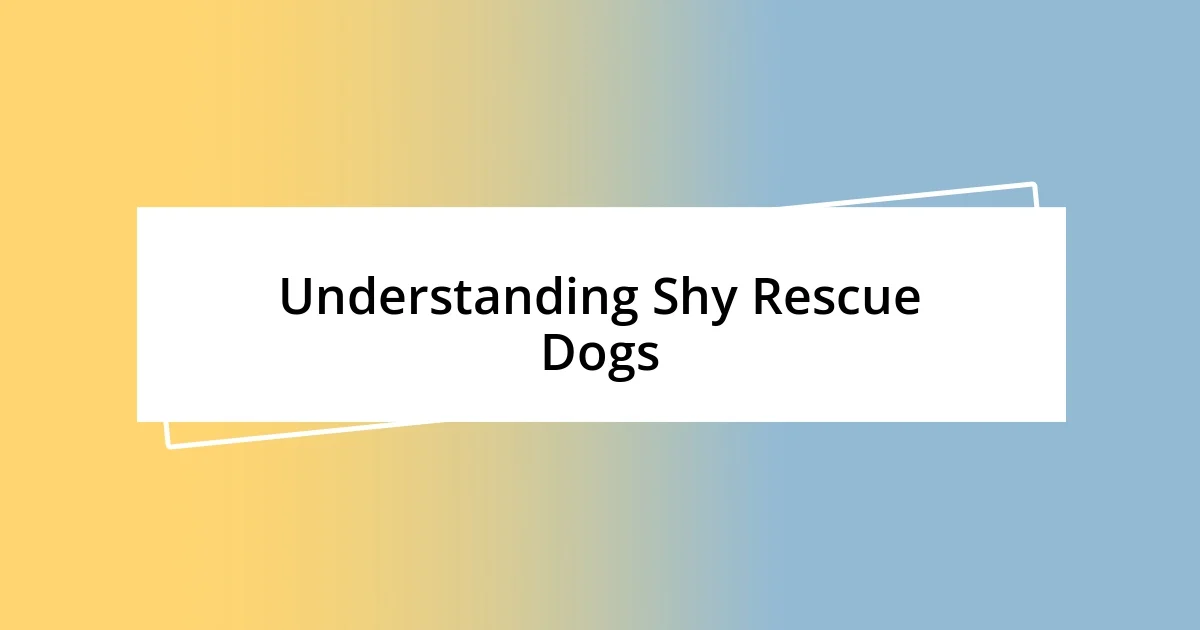 Understanding Shy Rescue Dogs