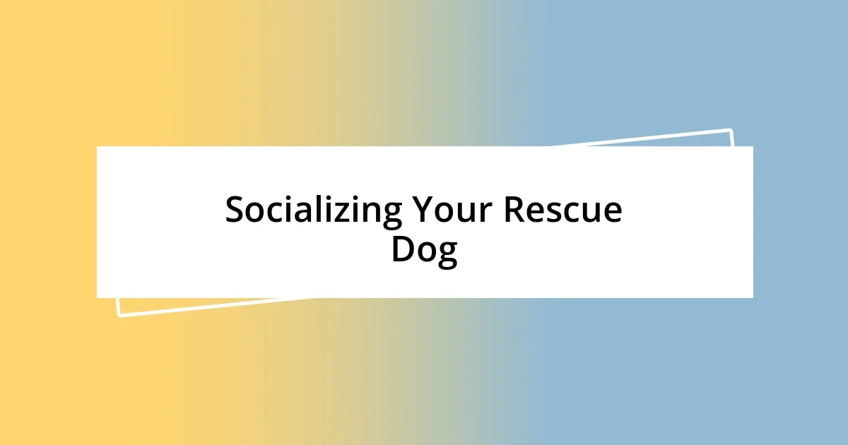 Socializing Your Rescue Dog