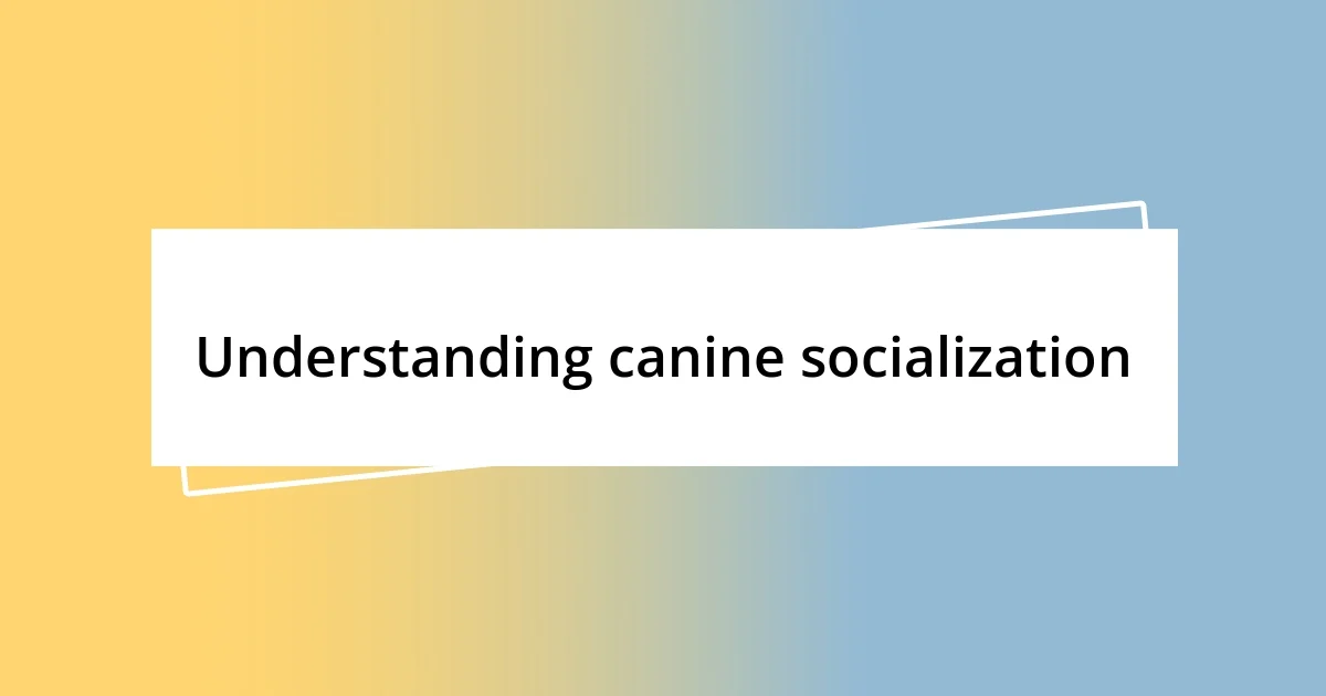 Understanding canine socialization