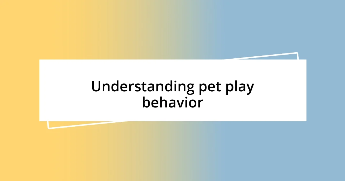 Understanding pet play behavior