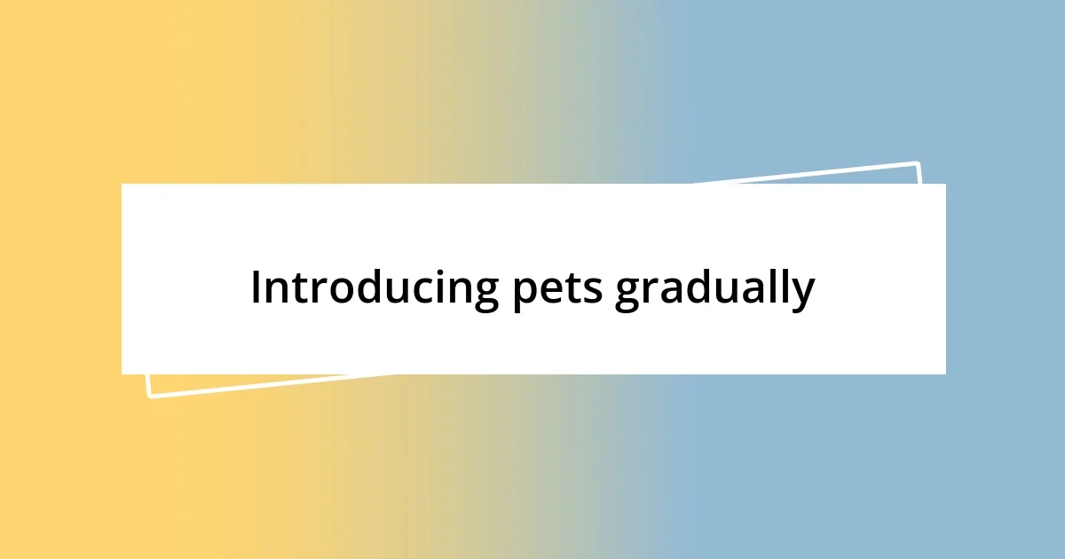 Introducing pets gradually