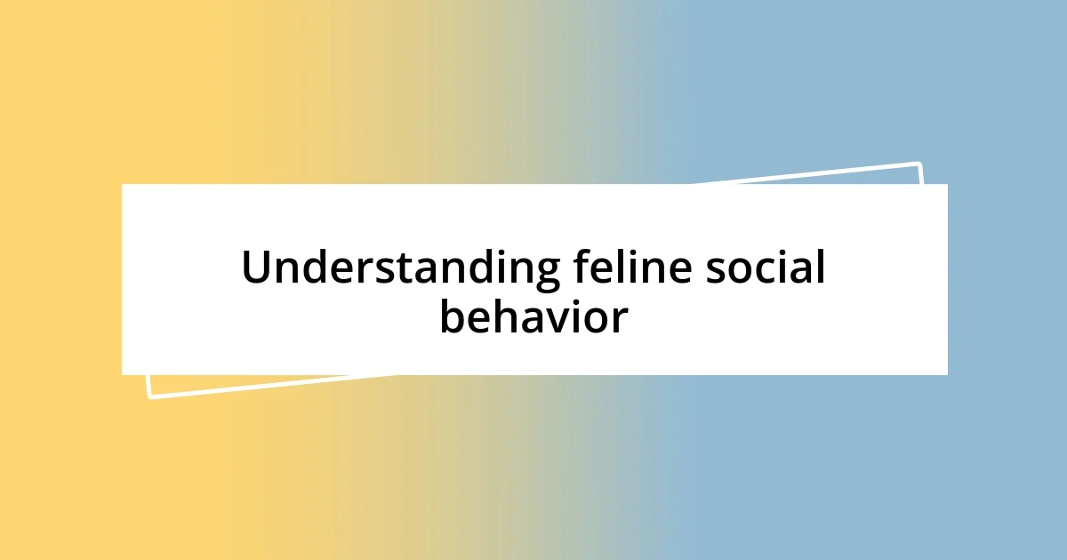 Understanding feline social behavior