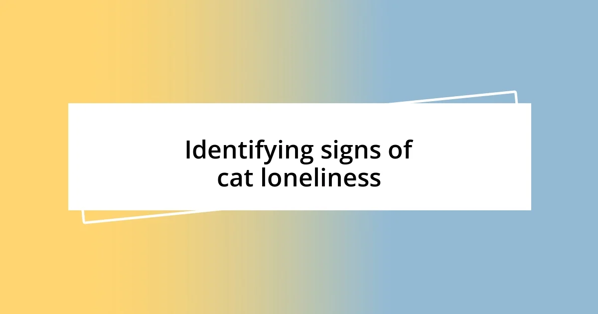 Identifying signs of cat loneliness